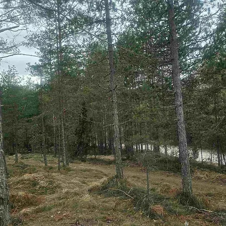 Sumor Sume - Tara 1 Lodge Kaludjerske Bare